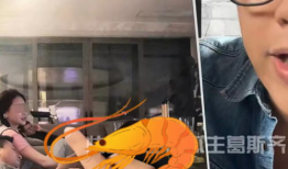 汪小菲吃瓜爆料图片,娱乐圈风云再起！”